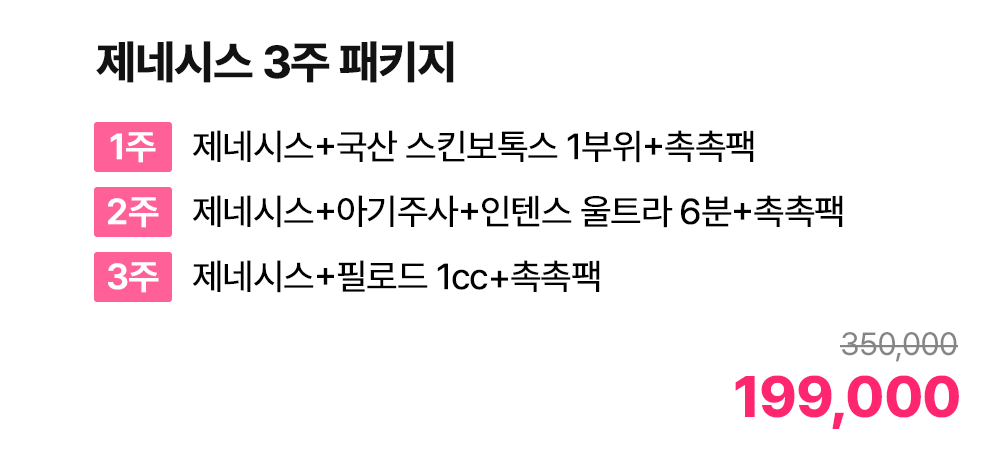 제네시스 3주 패키지