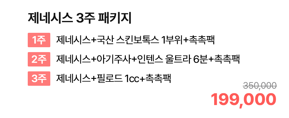 제네시스 3주 패키지