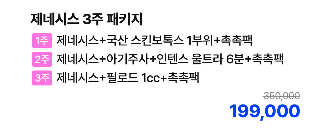 제네시스 3주 패키지