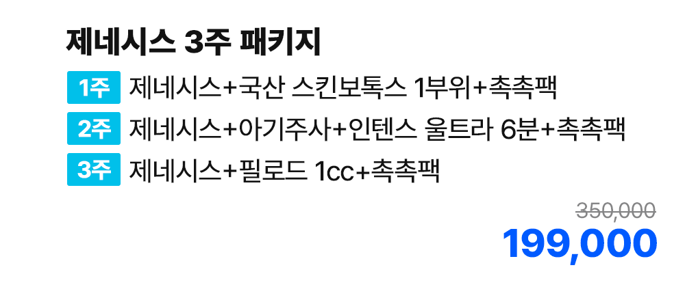 제네시스 3주 패키지